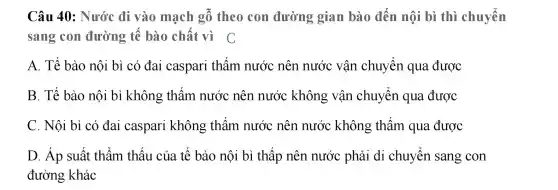 Câu 40:Nước đi vào mạch gô theo con đường gian bào đến nội bì thì chuyển
sang con đường tê bào chất vì C
A. Tế bào nội bì có đai caspari thâm nước nên nước vận chuyển qua được
B. Tế bào nội bì không : thấm nước nên nước không vận chuyển qua được
C. Nội bì có đai caspari không thấm nước nên nước không thấm qua được
D. Áp suất thâm thấu của tê bào nôi bì thấp nên nước phải di chuyển sang con
đường khác