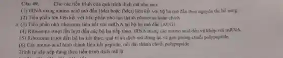 Câu 49.
Cho các tiến trình của quá trình dịch mã như sau:
(1) IRNA mang amino acid mở đầu (Mct hoặc fMct) liên kết với bộ ba mở đầu theo nguyên tắc bổ sung.
(2) Tiểu phần lớn liên kết với tiểu phần nhỏ tạo thành ribosome hoàn chinh.
 (3) Tiểu phần nhỏ ribosome liên kết với mRNA tại bộ ba mở đầu (Acup G)
(4) Ribosome trượt lần lượt đến các bộ ba tiếp theo, tRNA mang các amino acid đến và khớp với mRNA.
(5) Ribosome trượt đến bộ ba kết thúc, quá trình dịch mã dừng lại và giải phóng chuổi polypeptide.
(6) Các amino acid hình thành liên kết peptide nối dài thành chuỗi polypeptide.
Trình tự sắp xếp đủng theo tiến trình dịch mã là