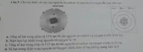 Câu 5. Cho mô hình cầu tạo của nguyên tử carbon và nguyên tử oxygen lần lượt như sau:
a. Tổng số hạt trong phân tử CO_(2) tạo từ các nguyên tử carbon và oxygen ở trên là 66 hạt
b. Điện tích hạt nhân trong nguyên tử oxygen là +8
c. Tổng số hạt trong phân tử CO tạo từ các nguyên tử carbon và oxygen ở trên là 40 hạt
d. Số hạt mang điện trong nguyên tử Oxygen nhiêu hơn số hạt không mang điện là 8