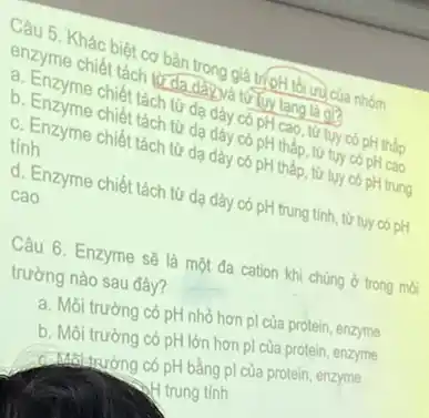 Câu 5. Khác t tách và bản trong giá trị (pH tối ưu của nhóm
B. Enno chiết tách trán trong to tuy tang la go
b. Enzyme chiết tách tia đạ dây có pH cao, từ tự có pH thấp
từ da dây có pH thấp, từ tuy có pH cao
C nh cyme chiết tách từ dạ dây có pH thấp, từ tụy có pH trung
tính
d. Enzyme chiết tách từ dạ dày có pH trung tính, từ tụy có pH cao
Câu 6. Enzyme sẽ là một đa cation khi chúng ở trong moi
trường nào sau đây?
a. Môi trường có pH nhỏ hơn pl của protein, enzyme
b. Môi trường có pH lớn hơn pl của protein, enzyme
C. Mai trường có pH bằng pl của protein enzyme
1) trung tính