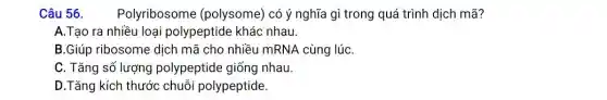 Câu 56.
Polyribosome (polysome) có ý nghĩa gì trong quá trình dịch mã?
A.Tạo ra nhiều loại polypeptide khác nhau.
B.Giúp ribosome dịch mã cho nhiều mRNA cùng lúC.
C. Tǎng số lượng polypeptide giống nhau.
D.Tǎng kích thước chuỗi polypeptide.