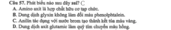 Câu 57. Phát biểu nào sau đây sai? C
A. Amino axit là hợp chất hữu cơ tập chức,
B. Dung dịch glyxin không làm đổi màu phenolphtalein.
C. Anilin tác dụng với nước brom tạo thành kết tủa màu vàng.
D. Dung dịch axit glutamic làm quý tím chuyển màu hồng.