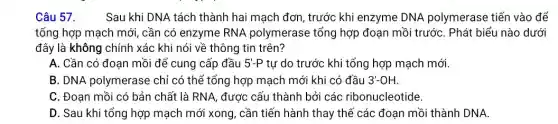 Câu 57. Sau khi DNA tách thành hai mạch đơn , trước khi enzyme DNA polymerase tiến vào để
tổng hợp mạch mới cần có enzyme RNA polymerase tổng hợp đoạn mồi trướC. Phát biểu nào dưới
đây là không chính xác khi nói về thông tin trên?
A. Cần có đoạn mồi để cung cấp đầu 5'-P tự do trước khi tổng hợp mạch mới.
B. DNA polymerase chỉ có thể tổng hợp mạch mới khi có đầu 3'-OH
C. Đoạn mồi có bản chất là RNA, được cấu thành bởi các ribonucleotide.
D. Sau khi tổng hợp mạch mới xong , cần tiến hành thay thế các đoạn mồi thành DNA.