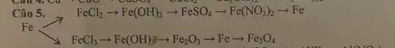 Câu 5.
CuO^-+ClOO_(4)+CuOH_(2) CO(s)
FeCl_(2)arrow Fe(OH)_(2)arrow FeSO_(4)arrow Fe(NO_(3))_(2)arrow Fe
Fe
FeCl_(3)arrow Fe(OH)_(3))arrow Fe_(2)O_(3)arrow Fearrow Fe_(3)O_(4)