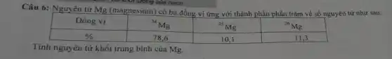 Câu 6: Nguyên tử mathrm(Mg) (magnesium) có ba đồng vị ứng với thành phần phần trăm về số nguyên tử như sau:

 Đồng vị & ( )^24 mathrm(Mg) & ( )^25 mathrm(Mg) & ( )^26 mathrm(Mg) 
 % & 78,6 & 10,1 & 11,3 


Tính nguyên tử khối trung bình của mathrm(Mg) .