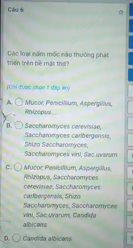 Câu 6
Các loại nấm mốc nào thường phát
triển trên bề mặt thịt?
(Chỉ được chọn 1 đáp án)
A Mucor,Penicillium , Aspergillus,
Rhizopus __
B Saccharomyces cerevisiae,
Saccharomyces carlbergensis,
Shizo Saccharomyces,
Saccharomyces vini, Sac.uvarum
C Mucor,Penicillium , Aspergillus,
Rhizopus , Saccharomyces
cerevisiae , Saccharomyces
carlbergensis , Shizo
Saccharomyces , Saccharomyces
vini, Sac.uvarum , Candida
albicans
D. Candida albicans