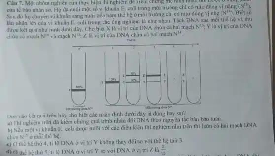 Câu 7. Một nhóm nghiên cứu thực hiện thí nghiệm để kiểm chứng mô hình nhân đôi DNA 0 vùng man
của tế bào nhân sơ. Họ đã nuôi một số vi khuẩn E. coli trong môi trường chỉ có nitơ đồng vị nặng
(N^15)
Sau đỏ họ chuyển vi khuẩn sang nuôi tiếp nǎm thế hệ ở môi trường chỉ có nitơ đồng vị nhẹ
(N^14) Biết số
lần nhân lên của vi khuẩn E. coli trong các ống nghiệm là như nhau. Tách DNA sau mỗi thế hệ và thu
được kết quả như hình dưới đây. Cho biết X là vị trí của DNA chứa cả hai mạch
N^15 ; Y là vị trí của DNA
chứa cả mạch N^14 và mạch N^15 :Z là vị trí của DNA chứa cả hai mạch N^14
The he
Dựa vào kết quả trên hãy cho biết các nhận định dưới đây là đúng hay sai?
a) Thí nghiệm trên đã kiểm chứng quá trình nhân đôi DNA theo nguyên tắc bán bảo toàn.
b) Nếu một ví khuẩn E. coli được nuôi với các điều kiện thí nghiệm như trên thì luôn có hai mạch DNA
chứa N^15 ở mỗi thế hệ.
c) O thế hệ thứ 4, tỉ lệ DNA ở vị trí Y không thay đổi so với thế hệ thứ 3.
d) Ở thế hệ thứ 5, tỉ lệ DNA ở vị trí Y so với DNA ở vị trí Z là (2)/(15)