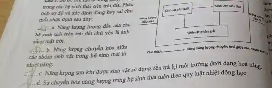 Câu 7: Sơ do bên mô ta đông mà
trong các hệ sinh thái trên trái đất.Phân
tích sơ đồ và xác định đúng hay sai cho
mỗi nhận định sau đây:
__ a. Nǎng lượng lượng đầu của các
hệ sinh thái trên trái đất chủ yếu là ánh
sáng mặt trời.
__ b. Nǎng lượng chuyển hóa giữa
các nhóm sinh vật trong hệ sinh thái là
nhiệt nǎng.
Sinh vật sản xuất
Sinh vật tiêu thụ
Nǎng lượng
đầu vào
Sinh vật phân giải
Chú thich:
__ Dòng nǎng lượng chuyến hoá giữa các nhóm sinh và
__
.. c. Nǎng lượng sau khi được sinh vật sử dụng đều trả lại môi trường dưới dạng hoá nǎng.
__
.. d. Sự chuyển hóa nǎng lượng trong hệ sinh thái tuân theo quy luật nhiệt động học.