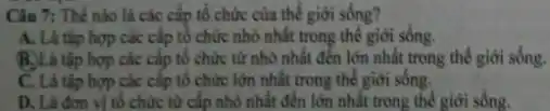 Câu 7: Thế nào là các cấp tổ chức của thế giới sống?
A. Là tập hợp các cấp tổ chức nhỏ nhất trong thế giới sống.
B.Là tập hợp các cấp tổ chức từ nhỏ nhất đến lớn nhất trong thế giới sông.
C. Là tập hợp các cấp tổ chức lớn nhất trong thể giới sống.
D. Là đơn vị tổ chức từ cấp nhỏ nhất đến lớn nhất trong thế giới sống.