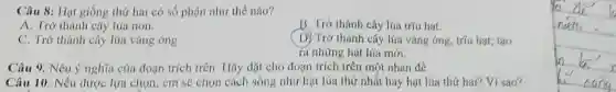 Câu 8: Hạt giống thứ hai có số phận như thế nào?
A. Trở thành cây lúa non.
B. Trở thành cây lúa tríu hạt.
C. Trớ thành cây lúa vàng óng
(D) Trở thành cây lúa vàng óng, tríu hạt; tạo
ra những hạt lúa mới.
Câu 9. Nêu ý nghĩa của đoạn trích trên. Hãy đặt cho đoạn trích trên một nhan để.
Câu 10. Nếu được lựa chọn, em sẽ chọn cách sống như hạt lúa thứ nhất hay hạt lúa thứ hai? Vi sao?