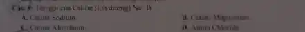 Câu 8: Tên gọi của Cation (ion dương) Na^+ là
A. Cation Sodium.
B. Cation Magnesium
C. Cation Aluminum
D. Anion Chloride