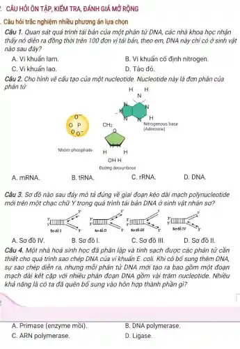 . CÂU HỎI ÔN TẬP , KIỂM TRA, ĐÁNH GIÁ MỞ RỘNG
. Câu hỏi trắc nghiệm nhiều phương án lựa chọn
Câu 1. Quan sát quá trình tái bản của một phân tử DNA, các nhà khoa học nhận
thấy nó diễn ra đồng thời trên 100 đơn vị tái bản,theo em, DNA này chỉ có ở sinh vật
nào sau đây?
A. Vi khuẩn lam
B. Vi khuẩn cố định nitrogen.
C. Vi khuẩn lao.
D. Tảo đỏ.
Câu 2. Cho hình vẽ cấu tạo của một nucleotide.Nucleotide này là đơn phân của
phân tử
A. mRNA.
B. tRNA.
C. rRNA.
D. DNA.
Câu 3. Sơ đồ nào sau đây mô tả đúng về giai đoạn kéo dài mạch polynucleotide
mới trên một chạc chữ Y trong quá trình tái bản DNA ở sinh vật nhân sơ?
A. Sơ đồ IV.
B. Sơ đồ I.
C. Sơ đồ III.
D. Sơ đồ II.
Câu 4. Một nhà hoá sinh học đã phân lập và tinh sạch được các phân tử cần
thiết cho quá trình sao chép DNA của vi khuẩn E. coli.Khi cô bổ sung thêm DNA,
sự sao chép diễn ra, nhưng mỗi phân tử DNA mới tạo ra bao gồm một đoạn
mạch dài kết cặp với nhiều phân đoạn DNA gồm vài trǎm nucleotide. Nhiều
khả nǎng là cô ta đã quên bổ sung vào hỗn hợp thành phần gì?
A. Primase (enzyme mồi).
B. DNA polymerase.
C. ARN polymerase.
D. Ligase.