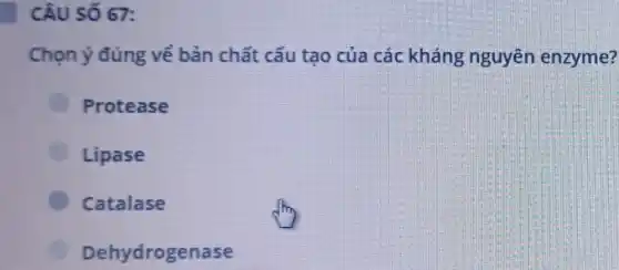 CÂU SỐ 67:
Chọn ý đúng về bản chất cấu tạo của các kháng nguyên enzyme?
Protease
Lipase
Catalase
Dehydrogenase