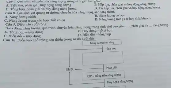 Cây 7. Quá trình chuyển hóa nǎng lượng trong sinh giới bao gồm:
B. Hấp thu, phân giải và huy động nǎng lượng
A. Tiêu thụ, phân giải, huy động nǎng lượng
C. Tổng hợp, phân giải và huy động nǎng lượng
D. Tái hấp thu , phân giải và huy động nǎng lượng
Câu 8. Các sinh vật quang tự dưỡng chuyền hóa nǎng lượng ánh sáng thành:
A. Nǎng lượng nhiệt
B. Nǎng lượng cơ học
C. Nǎng lượng trong các hợp chất vô cơ
D. Nǎng lượng trong các hợp chất hữu cơ
Câu 9. Điền vào chỗ trống:
Theo dòng nǎng lượng, quá trình chuyền hóa nǎng lượng trong sinh giới bao gồm:
__ phân giải và __ nǎng lượng.
B. Huy động -tổng hợp
A. Tổng hợp -huy động
C. Biến đồi -huy động
D. Biến đổi -tổng hợp
Câu 10. Điền vào chỗ trống còn thiếu trong sơ đồ dưới đây:
Nǎng lượng ánh sáng
square 
ATP - Đồng tiền nǎng lượng
Huy động nǎng lượng