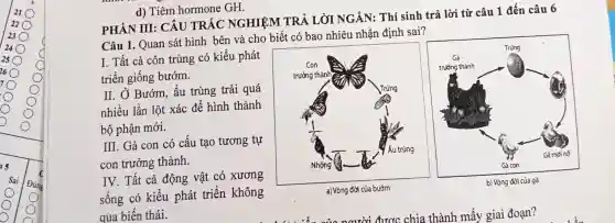 d) Tiêm hormone GH.
PHÀN III: CÂU TRẮC NGHIỆM TRẢ LỜI NGẤN: Thí sinh trả lời từ câu 1 đến câu 6
Câu 1. Quan sát hình bên và cho biết có bao nhiêu nhận định sai?
I. Tất cả côn trùng có kiểu phát
triển giống bướm.
II. Ở Bướm, ấu trùng trải quá
nhiều lần lột xác để hình thành
bộ phận mới.
III. Gà con có cấu tạo tương tự
con trưởng thành.
IV. Tất cả động vật có xương
sống có kiểu phát triển không
qua biến thái.