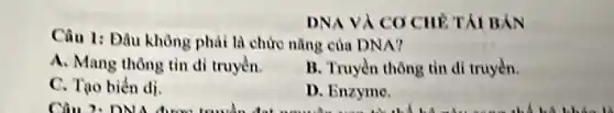 DNA VÀ COCIE ThI BÁN
Câu 1: Đầu không phải là chức nǎng của DNA?
A. Mang thông tin di truyền.
B. Truyền thông tin di truyền.
C. Tạo biển dị.
D. Enzyme.