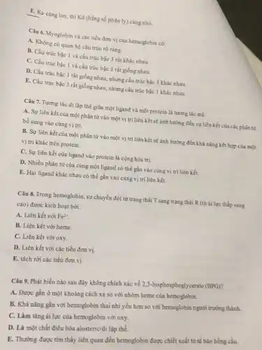 E. Ka càng lớn thì Kd (hằng số phân ly) càng nhỏ.
Câu 6. Myoglobin và các tiểu đơn vị của hemoglobin có:
A. Không có quan hệ cấu trúc rõ ràng.
B. Cấu trúc bậc 1 và cấu trúc bậc 3 rất khác nhau.
C. Cấu trúc bậc 1 và cấu trúc bậc 3 rất giống nhau.
D. Cấu trúc bậc 1 rất giống nhau nhưng cấu trúc bậc 3 khác nhau.
E. Cấu trúc bậc 3 rất giống nhau nhưng cấu trúc bậc 1 khác nhau.
Câu 7. Tương tác dị lập thể giữa một ligand và một protein là tương tác mà:
A. Sự liên kết của một phân tử vào một vị trí liên kết sẽ ảnh hưởng đến sự liên kết của các phân tứ
bổ sung vào cùng vị trí.
B. Sự liên kết của một phân tử vào một vị trí liên kết sẽ ảnh hưởng đến khả nǎng kết hợp của một
vị trí khác trên protein.
C. Sự liên kết của ligand vào protein là cộng hóa trị.
D. Nhiều phân tử của cùng một ligand có thể gắn vào cùng vị trí liên kết.
E. Hai ligand khác nhau có thể gắn vào cùng vị trí liên kết.
Câu 8. Trong hemoglobin , sự chuyển đổi từ trạng thái T sang trạng thái R (từ ái lực thấp sang
cao) được kích hoạt bời:
A. Liên kết với Fe^2+
B. Liên kết với heme.
C. Liên kết với oxy.
D. Liên kết với các tiểu đơn vị.
E. tách rời các tiều đơn vị.
Câu 9. Phát biểu nào sau đây không chính xác về 2,3 -bisphosphoglycerate (BPG)?
A. Được gắn ở một khoảng cách xa so với nhóm heme của hemoglobin.
B. Khả nǎng gắn với hemoglobin thai nhi yếu hơn so với hemoglobin người trưởng thành.
C. Làm tǎng ái lực của hemoglobin với oxy.
D. Là một chất điều hòa alosteric/di lập thể.
E. Thường được tìm thấy liên quan đến hemoglobin được chiết xuất từ tế bào hồng cầu.