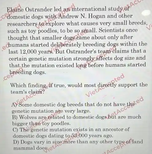 Elame Ostrander led an international study of
.Comestic dogs with Andrew N . Hogan and other
researchers to explore what causes very small breeds,
such as toy poodles, to be so small. Scientists once
thought that smaller dogs came about only after
chumans started deliberate ly breeding dogs within the
last 12,000 years But Ostrander's team-claims that a
certain genetic mutation strongly affects dog size and
that the mutation existed long before humans started
breeding dogs.
Which finding, if true, would most directly support the
team's claim?
A) Some domestic dog breeds that do not have the
genetic mutation are very large.
B) Wolves are related to domestic dogs but are much
bigger thân toy poodles.
C) The genetic mutation exists in an ancestor of
domestic dogs dating to.58,000 years ago.
D) Dogs vary in sizemore than any other type of land
mammal does: