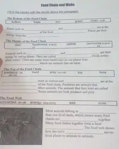 Food Chain and Wells
Fill in the blanks with the words above the paragraph.
The Bottom of the Food Chain
bottom
chain: chuỗi
trees
sun
grass
Plants such as __ and __
are at the
__ of the food
. Plants get their
energy from the __ preparation	.
The Middle of the Food Chain
carnivores:d.vật ǎn
thịt
deer
herbivores: d.vật ǎn
rabbits
cỏ
Animals such as __ and __ get their
energy by eating plants. They are called __ which means
'plant eaters.' There are many more herbivores on our planet than
__ , which are animals that eat meat.
The Top of the Food Chain
predators: vật
hunt
prey: con mồi
top
lions
__ such as wolves and __ are at the
__ of the food chain . Predators are animals that
__ other animals. The animals that they hunt are called
__ . Some animals are both predator and prey.
The Food Web
connected: liên kết
energy: nǎng lượng
web
more
Most animals belong to __
than one food chain,which means many food
chains are __ together.
Many food chains together form a food
__ . The food web shows
how the sun's
__ moves
from plants to animals to animals.