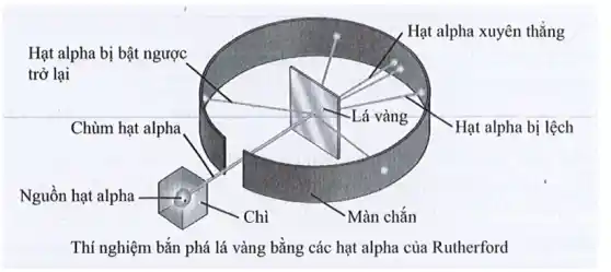 Hạt alpha xuyên thẳng
Hạt alpha bị bật ngược
trở lại
Chùm hạt alpha
Hạt alpha bị lệch
Nguồn hạt alpha
Thí nghiệm bắn phá lá vàng bằng các hạt alpha của Rutherford