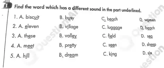 I Find the word which has a different sound in the part underlined.
1. A. biscuit
2. A. eleven
3. A. these
4. A. meet
5. A. hill
B. busy
B. village
B. valley
B. pretty
B. dream
C. beach
C. luggage
C. field
C. seen
C. king
D. women
D. beach
D. sea
D. sheep
D. six