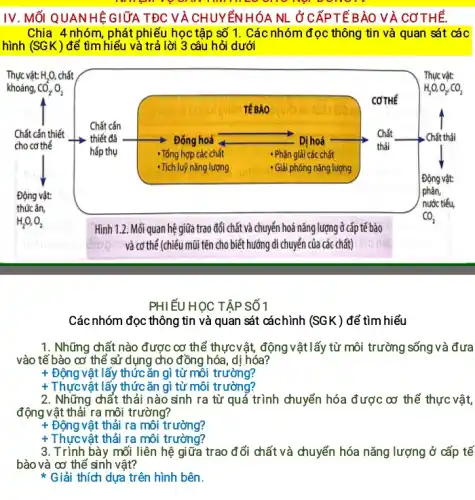 IV. Mối QUANHÊGIỮA TĐC VÀ CHUYÊN HÓA N.Ở CẤPTẾ BÀO VÀ CƠTHÊ.
Chia 4 nhóm, phát phiếu học tập số 1.Các nhóm đọc thông tin và quan sát các
hình (SGK) để tìm hiếu và trả lời 3 câu hỏi dưới
Thực vật: H_(2)O, chất
khoáng, CO_(2),O_(2)
__
PHIẾU HỌC TẬP SỐ1
Các nhóm đọc thông tin và quan sát cáchình (SGK) để tìm hiểu
1. Những chất nào được cơ thể thựcvật động vậtlấy từ môi trường sống và đưa
vào tế bào cơ thể sử dụng cho đồng hóa, dị hóa?
+	lấy thức ǎn gì từ môi trường?
+	thức ǎn gì từ môi trường?
2. Những chất thải nào sinh ra từ quá trình chuyển hóa được cơ thể thực vật,
động vật thải ra môi trường?
+ Động vật thải ra môi trường?
+ Thựcvật thải ra môi trường?
3. Trình bày mối liên hệ giữa trao đổi chất và chuyển hóa nǎng lượng ở cấp tế
bào và cơ thể sinh vật?
* Giải thích dựa trên hình bên.