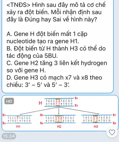 lt TNESgt  Hình sau đây mô tả cơ chế
xảy ra đột biến . Mỗi nhân định sau
đây là Đúng hay Sai về hình này?
A. Gene H đột biển mất 1 cặp
nucleotide tạo ra gene H1.
B. Đột biên từ H thành H3 có thể do
tác động của 5BU.
C. Gene H2 tǎng 3 liên kết hydrogen
so với gene H.
D. Gene H3 có mach x7 và times 8 theo
chiều: 3'-5' và 5'-3'.