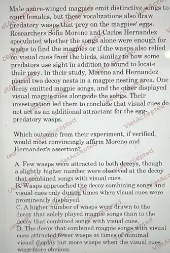 Male azure-winged magpies emit distinctive songs to
court females, but these vocalizations also draw
et predatory wasps that prey on the magpies'eggs.
Researchers Sofia Moreno and Carlos Hernandez
speculated whether the songs alone were enough for
wasps to find the magpies or if the wasps also relied
ceon visual cues from the birds . similar to how some
predators use sight in addition to sound to locate
their prey. In their study, Moreno and Hernandez
placed two decoy nests in a magpie nesting area. One
decoy emitted magpie songs, and the other displayed
visual magpie cues alongside the songs. Their
investigation led them to conclude that visual cues do
not act as an additional attractant for the egg-
predatory wasps.
Which outcome from their experiment, if verified,
would most convincingly affirm Moreno and
Hernandez's assertion?
A. Few wasps were attracted to both decoys, though
a slightly higher number were observed at the decoy
that combined songs with visual cues.
B.Wasps approached the decoy combining songs and
visual cues only during times when visual cues were
prominently displayed.
C. A higher number of wasps were drawn to the
decoy that solely played magpie songs than to the
decoy that combined songs with visual cues.
D. The decoy that combined magpie songs with visual
cues attracteddfewer wasps at times of minimal
visual display but more wasps when the visual cues A
were more obvious.