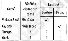 multirow(2)(*)( Cơ thé ) & multirow(2)(*){
Só té bào 
cáu tao nèn 
cơ thé 
Mót té bào 
Ihiéu té bào
 
 & & Đơn bào & Đa bào 
 
Vilduán E. coi 
Cáy buói 
Trüng roi 
Conéch
 & ? & ? & ?