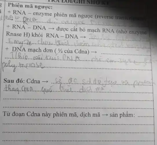 Phiên mã ngược:
+RNA-enzy
me phiên mã ngược (reverse transcriptase)
+RNA-DNAarrow 
được cắt bỏ mạch RNA (nhờ enzyme
+ DNA mạch đơn ( 1/2 của Cdna) >
__
__
Sau đó : Cdna ­­­­→
......................................................................
Từ đoan Cdna này phiên mã , dịch mã ­­­­→ sản phẩm : ..........
__
........