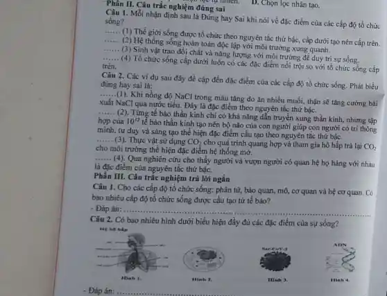 Phân II. Câu trắc n ghiệm đúng sai
Câu 1. Mỗi nhận định sau là Đúng hay Sai khi nói về đặc điểm của các cấp độ tổ chức sống?
__
(1) Thế giới sống được tổ chức theo nguyên tắc thứ bậc , cấp dưới tạo nên cấp trên __
(2) Hệ thống sống hoàn toàn độc lập với môi trường xung quanh.
__
(3) Sinh vật trao đổi chất và nǎng lượng với môi trường để duy trì sự sống.
__
(4) Tổ chức sống cấp dưới luôn có các đặc điểm nổi trội so với tổ chức sống cấp trên.
Câu 2. Các ví dụ sau đây đề cập đến đặc điểm của các cấp độ tổ chức sống. Phát biểu
đúng hay sai là:
__
(1). Khi nồng độ NaCl trong máu tǎng do ǎn nhiều muối thận sẽ tǎng cường bài
xuất NaCl qua nước tiểu. Đây là đặc điểm theo nguyên tắc thứ bậc.
__
(2). Từng tế bào thần kinh chi có khả nǎng dẫn truyền xung thần kinh, nhưng tập
hợp của 10^12
tế bào thần kinh tạo nên bộ não của con người giúp con người có trí thông
minh, tư duy và sáng tạo thể hiện đặc điểm cấu tạo theo nguyên tắc thứ bậc.
__ (3). Thực vật sử dụng CO_(2) cho quá trình quang hợp và tham gia hô hấp trả lại CO_(2)
cho môi trường thể hiện đặc điểm hệ thống mở.
__
(4). Qua nghiên cứu cho thấy người và vượn người có quan hệ họ hàng với nhau
là đặc điểm của nguyên tắc thứ bậc.
Phần III. Câu trắc nghiệm trả lời ngắn
Câu 1. Cho các cấp độ tổ chức sống: phân tử, bào quan, mô, cơ quan và hệ cơ quan . Có
bao nhiêu cấp độ tổ chức sống được cấu tạo từ tế bào?
- Đáp án: ... __
Câu 2. Có bao nhiêu hình dưới biểu hiện đầy đủ các đặc điểm của sự sống?
He ho hap
Hinh 1.
- Đáp án:
Hinh 2.
Nar-CoV-2
Hinh 3.
ADN
Hinh 4.
nghiệc tự nhiên. D . Chọn lọc nhân tạo.