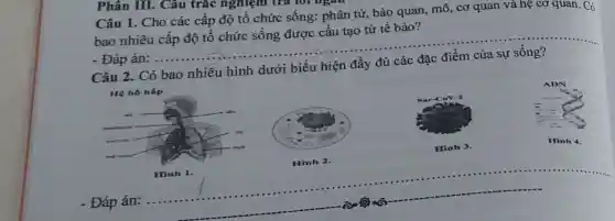 Phân III. Câu trắc nghiệm trả lorngan
Câu 1. Cho các cấp độ tổ chức sống: phân tử, bào quan, mô, cơ quan và hệ cơ quan.
C_(0)
bao nhiêu cấp độ tổ chức sống được cấu tạo từ tế bào?
- Đáp án:......
__
Câu 2. Có bao nhiêu hình dưới biểu hiện
Hệ hô hấp
asks
Hinh 1.
- Đáp án:
Hinh 2.
Sar-Cov-2
Hinh 3.
ADN
Hinh 4.
__