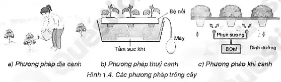 a) Phương pháp địa canh
b) Phương pháp thuỷ canh
Hình 1.4. Các phương pháp trồng cây
c) Phương pháp khi cạnh