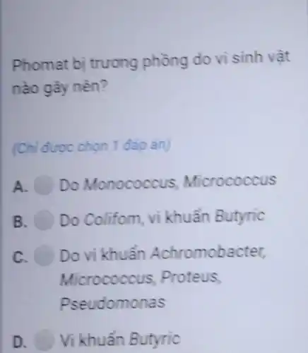 Phomat bị trương phồng do vì sinh vật
nào gây nên?
(Ch) được chon 1 đáp ǎn)
A Do Monococcus Micrococcus
B Do Colifom, vi khuẩn Butyric
C. Do vi khuẩn Achromobacter,
Micrococcus, Proteus,
Pseudomonas
D. Vi khuẩn Butyric