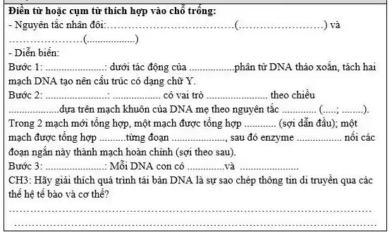 Điền từ hoặc cụm từ thích hợp vào chỗ trống:
Nguyên tắc nhân đôi: __ ) và
__ __
- Diễn biến:
Bước 1: __ dưới tác động của __ phân tử DNA tháo xoắn, tách hai
mạch DNA tạo nên cấu trúc có dạng chữ Y.
Bước 2 __ : ....................có vai trò __ theo chiều __ ............
__ dựa trên mạch khuôn của DNA me theo nguyên tắc __ __ __ )
Trong 2 mạch mới tổng hợp, một mạch được tổng hợp __ (sợi dẫn đầu); một
mạch được tổng hợp __ từng đoạn __ sau đó enzyme __ nối các
đoạn ngắn này thành mạch hoàn chỉnh (sợi theo sau).
Bước 3 __ ........... ...........Mỗi DNA con có __ và __
CH3: Hãy giải thích quá trình tái bản DNA là sự sao chép thông tin di truyền qua các
thế hệ tế bào và cơ thể?
__