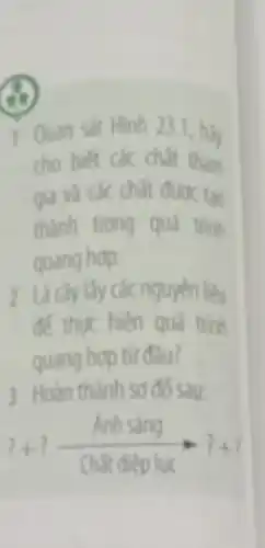 T Quan sát Hinh 23.1, hay
cho biết các chất tham
gia và các chất dunk tao
thành trong quá trình
quang hop
2 Lácây lấy các nguyên liệu
để thức hiện quá trình
quang hợp từ đầu 7
3 Hoàn thành so đó sau: