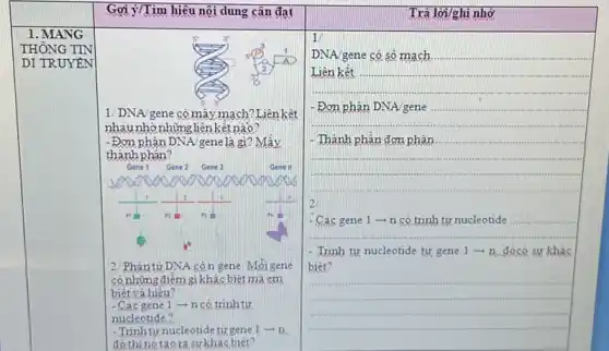 Trả lời/ghi nhớ
DNA/gene có sô mạch
__
__
__
Gợi ý/Tìm hiệu nội dung cân đat
5	1
TIN	6. my
TRUYÊN
2
(P) 1
5
1/DNA/gene có mây mạch? Liên kệt
nhaunhờnhững liên kết nào?
-Đơn phân DNA genelà gì? Mấy
thành phân?
Gene 1 Gene 2 Gene 3	Gene it
2
ride
2/ Phân tử DNA cón gene. Mỗi gene
só những điểm g khác biết mà em
biêt và hiêu?
- Cácgene 1 -n có trình tự
nucleotide?
-Trinh tự nucleotide tưgene 1arrow n
đó thị nó tạo ra sự khác biết?
- Trình tự nucleotide từ gene 1arrow n đócó sự khác
biêt?
__
__