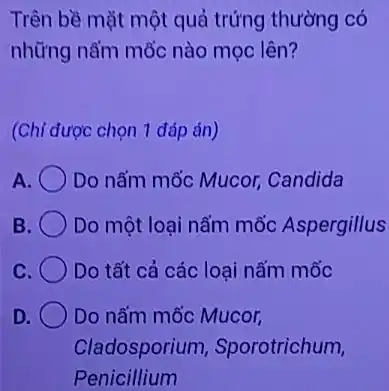 Trên bề mặt một quả trứng thường có
những nấm mốc nào mọc lên?
(Chỉ được chọn 1 đáp án)
A Do nấm mốc Mucor,Candida
B Do một loại nấm mốc Aspergillus
C Do tất cả các loại nấm mốc
D Do nấm mốc Mucor,
Cladosporium Sporotrichum,
Penicillium