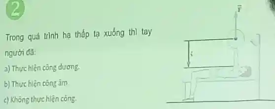 Trong quá trình ha thấp ta xuống thì tay
người đã:
a) Thực hiện công dương.
b) Thực hiện công âm.
c) Không thực hiện công.