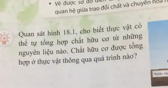 Vẽ được sơ do aren
quan hệ giữa trao đổi chất và chuyển hoàn
Quan sát hình 18.1 . cho biết thực vật có
thể tự tổng hợp chất hữu cơ từ những
nguyên liệu nào. Chât hữu cơ được tông
hợp ở thực vật thông qua quá trình nào?
Nước và