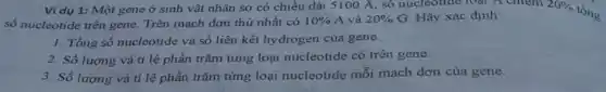 Ví dụ 1: Một gene ở sinh vật nhân sơ có chiều dài 5100 A, số nucleotide loại A chiem 20% 
tổng
số nucleotide trên gene Trên mạch đơn thứ nhất có 10%  A và 20% G Hãy xác định:
1. Tổng số nucleotide và số liên kết hydrogen của gene.
2. Số lượng và tỉ lệ phần trǎm từng loại nucleotide có trên gene.
3. Số lượng và tỉ lệ phần trǎm từng loại nucleotide mỗi mạch đơn của gene.