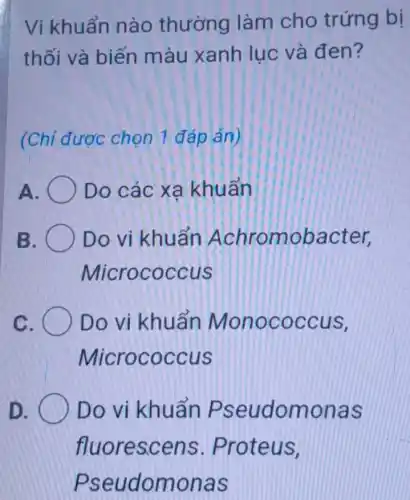 Vi khuẩn nào thường làm cho trứng bị
thối và biến màu xanh lục và đen?
(Chỉ được chọn 1 đáp án)
A	Do các xạ khuẩn
B Do vi khuẩn Achromobacter,
Micrococcus
C Do vi khuẩn Monococcus,
Micrococcus
D. Do vi khuẩn Pseudomonas