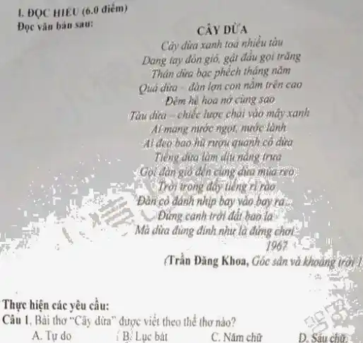 1. ĐQC HIEU (6.0 điếm)
Đọc vǎn bản sau:
CÂY DỦA
Cây dira xanh toá nhiều tàu
Dang tay đón gió,gát đầu gọi trǎng
Thân dưa bạc phéch tháng nǎm
Qua dira-đàn lợn con nằm trên cao
Đêm hè hoa nở cùng sao
Tàu dưa -chiếc lược chải vào máy xanh
Ai mang nước ngọt,nước lành
Al deo bao hu rugu quanh có dưa
Tieng dira làm dịu nǎng trưa
Gọi dàn giờ đến cùng dira mua reo.
Trời trong đáy tiếng rivao
"Đàn có đánh nhịp bay vào bay ra...
Đứng canh trời đất bào là
Mà dừa đúng đỉnh như là đứng
(Trần Đǎng Khoa, Góc sân
Thực hiện các yêu cầu:
Câu 1, Bài thơ "Cây dừa" được viết theo thể thơ nào?
A. Tu do
: B: Lục bát
C. Nǎm chữ
D. Sauchit.