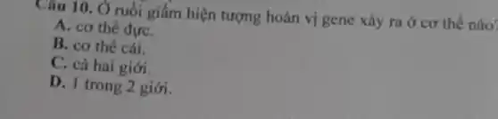 10. Ở ruồi giấm hiện tượng hoán vị gene xảy ra ở cơ thể nào
A. cơ thể đựC.
B. cơ thế cái.
C. cả hai giới.
D. I trong 2 giới.