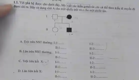 1.1. Với phả hệ được cho dưới đây, hãy (viết các kiểu gene) của các cá thể theo kiểu di truyền đã
được chỉ ra. Hãy sử dụng chữ A cho một alelle trội và a cho một alelle lặn.
square 
A. Trội trên NST thường: I-1:ldots ldots ldots 
I-2 __
__
II-2 __
B. Lặn trên NST thường:
__
I-2 __
__
II-2 __
C. Trội liên kết X:x^A
I __
I-2 __
__
II-2 __
D. Lặn liên kết X:
I-1 __
I-2 __
II-1 __
II-2 __