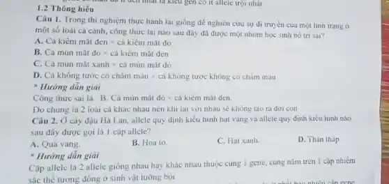 1.2 Thông hiểu
Câu 1. Trong thí nghiệm thực hành lai giống để nghiên cứu sự di truyên cua một tinh trạng ở
một số loài cá cảnh, công thức lai nào sau đây đã được một nhóm học sinh bô tri sai?
A Chat (a)kicmmhat (a)tdcntimes chat (a)kicmmhat (a)t do
B Chat (a) min mat do times chat (a)kicm mat den
C. Cả munmattxanhtimes camunmattd
D. Cá không tước có châm màu x cá không tước không có châm màu
* Hướng dẫn giải
Công thức sai là B. Cá mún mặt đỏ x cá kiếm mǎt đen.
Do chúng là 2 loài cá khác nhau nên khi lai với nhau sẽ không tạo ra đời con
Câu 2. Ở cây đậu Hà Lan, allele quy định kiểu hình hạt vàng và allele quy định kiểu hình nào
sau đây được gọi là 1 cặp allele?
A. Quả vàng.
B. Hoa to.
C. Hat xanh.
D. Thân thâp
* Hưởng dân giải
Cặp allele là 2 alleie giống nhau hay khác nhau thuộc cùng 1 gene, cùng nǎm trên 1 cặp nhiềm
sắc thể tương đồng ở sinh vật lưỡng bội