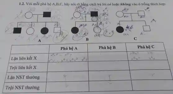 1.2. Với mỗi phả hệ A,B ,C, hãy nói rõ bằng cách trả lời có hoặc không vào ô trống thích hợp:
square 
square 
C
square 
square 
square 
square 
square 
square 
square 
square 
square 
square