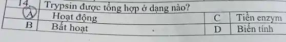 14.
Trypsin được tổng hợp ở dạng nào?
A
Hoạt động
C
Tiền enzym
B
Bất hoạt
D
Biến tính