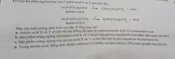 17/ Cho hai phản ứng hoá học của 2 amino acid X và Y như dưới đây:
nH_(2)N+CH_(2)+(1)/(5)COOHxrightarrow [高温H-HCH+CH_(2)+CO]_(n)+nH_(2)O
mH_(2)N+CH_(2)+COOHxrightarrow [Delta ]([NHH-HCH_(2)]^+CO+)^-+nH_(2)O
Amino acid Y
Hãy cho biết những phát biểu sau đây là đúng hay sai?
a. Amino acid X và Y có tên bán hệ thống lần lượt là c-aminoenanthic acid và 6)-aminocaproic acid.
b. Sản phẩm trùng ngưng của amino acid X và Y thuộc loại polymer (polyamide chứa nhóm chức amide
c. Sàn phẩm trùng ngưng của amino acid X và Y có tên lần lượt là polycaproamide và polyenantomide.
d. Trong amino acid, đồng thời nhóm carboxyl
(-COOH) và nhóm amino (-NH_(2)) tham gia phản ứng trùng hợp.