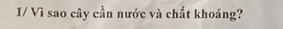 1/Vi sao cây cân nước và chất khoáng?